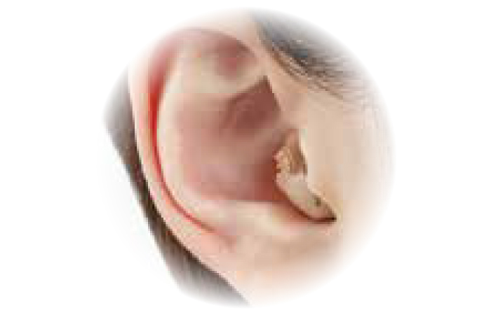 NEF-ITCA4(画像は後継機種となります。)